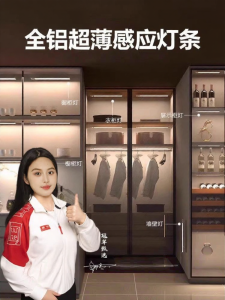 YUANMUXUAN | Smart Wireless Motion Sensor LED Cabinet Light