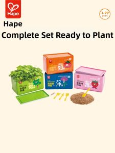 Hape | Childrens Science Experiment Kit Sunlight Observation Small Potted Plant