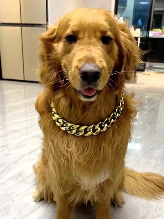 Golden Retriever Chain Collar Oversized Dog Pet Neckband Necklace