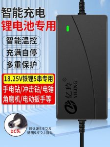 Sạc Pin Lithium Sắt 12V 1825V 5 Chuỗi 18V Sạc Nhanh Cho Câu Cá Tua Vít Điện Sợi Hợp Kim Nhôm Ngoài Trời