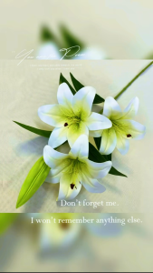 Artificial 3 heads Lily Flower DIY Home Garden Wedding Bridal Bouquets Decoration Home Decoration Valentines Day
