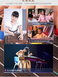 Dunhuang Ancient Zither Strings A-Type Professional Standard Universal Single Performance Zither String 1-21 Full Set A-Type Ethnic Instrument