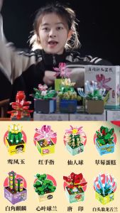 Nano Block Flower Succulent Pot Tanaman Imitasi Bunga Abadi Model DIY Mainan Balok Buket 3D Puzzle Bricks Hadiah
