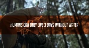 Practical Survival (1 straw item) - Filters up to 1100 Gallons of water Emergency Water Straw removes 99.9% of bacteria Reusable with No expiration date