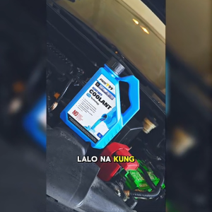 PRO99 Heavy Duty OAT Coolant Ready To Use Blue F13 Technology 1 Liter For Cars and Motorcycles PCF13-1LB