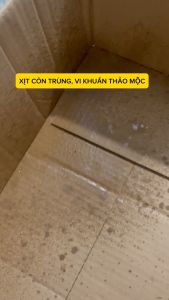 Chai Xịt Kiến Mối Rệp Bọ Ve Vi Khuẩn 330ml Thảo Mộc Chính Hãng Xịt Thảm Nền Giường Chiếu Tủ Phòng Ngủ Phòng Khách