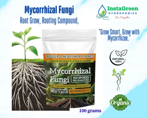 Mycorrhizal Fungi Root Grow Rooting Compound 100g