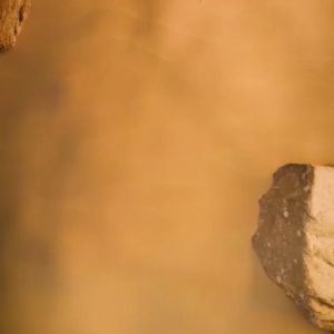 Fitlife Beazt Whey Concentrate 2 Lbs 907 Gram