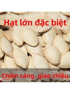 Hạt Dưa Hấu Nướng Mới Đậu Không Bao Bì Vị Muối Ngũ Vị