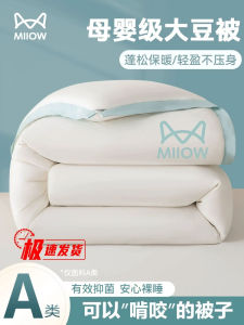 Thickened Soybean Fiber Blanket Winter Quilt Cotton Core Warm Dormitory Student Single Spring Autumn Four Seasons Universal