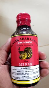 Minyak urut asli DAYAK KALIMANTAN mengobati Rematik asam urat keseleo sakit pinggang kesemutan