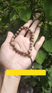 Gelang Bidara Sidr Arab Original Tali Elastis & Tali Tarik Ulur