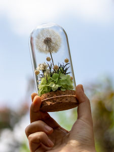 Eternal Flower Glass Dome Small Ornament Volunteer Warm-Up DIY Handcraft Material Package for Salon Team Building Activities