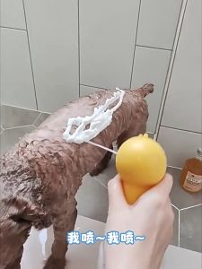 Pet Foam Spray Bottle 350ml