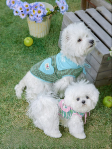 Mooki pet | Striped Cape Vest Dog Cat Clothing
