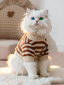 SHENJINGMAO | Pet Cat Sweater Shedding Prevention 3 Little Bears Design Autumn And Winter