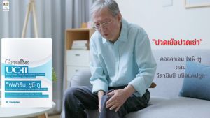 ส่งฟรี คอลลาเจนไทพ์ทุ วัยทอง ปวดเข่าปวดข้อ ข้ออักเสบ ข้อเสื่อม กิฟฟารีน ยู-ซี-ทู