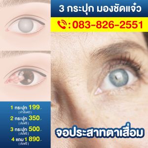 ของแท้💯✅ ผลิดภัณฑ์บำรุงดวงตา ต้อตา ตาพร่ามัว ตาอ่อนล้า ใช้สายตาทำงานหนักเป็นระยะเวลานาน ตาแพ้แสง