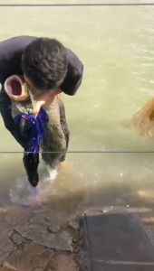 มือใหม่ ตกปลาโยนสุทธิง่าย ต่อการโยนสุทธิจานร่อน ตกปลาสุทธิหมุน