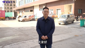 SAKURA樱花 Wide and Thin Double Gum Protection SOFT Toothbrush (2 PC / 1 Packs)