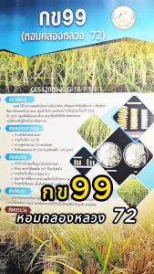 เมล็ดพันธุ์ข้าว กข99 (หอมคลองหลวง 72) กรมการข้าว บรรจุ 25 กก.