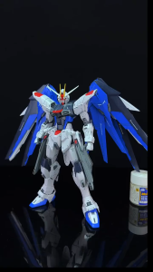 Bandai MG Freedom 2.0