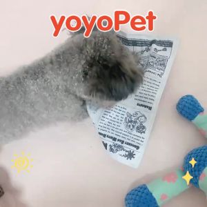 coolpet 🐶 แผ่นกัดสุนัข ของเล่นหมา มีเสียง ของเล่นกระดาษเสียง หนังสือพิมพ์จําลอง บรรเทาอาการกัด สําหรับสัตว์เลี้ยง