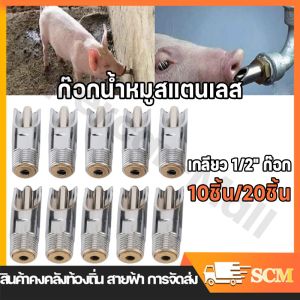 【ราคาต่ำในเวลาจำกัด】ก๊อกหมู ก๊อกน้ำหมู สแตนเลส เกลียว 1/2" ก๊อก ก๊อกหมูกินน้ำ ก๊อกน้ำสุกร ก็อกหมูดูดน้ำ จุ๊บหมู แข็งแรง ทนทาน