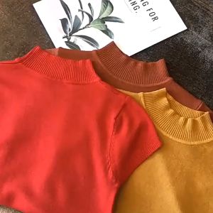 Ginza6 Turtle Neck Solid Knitted Top for Women 1001#