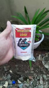 Umpan Pancing Ikan Bandeng Tambak Siap Pakai