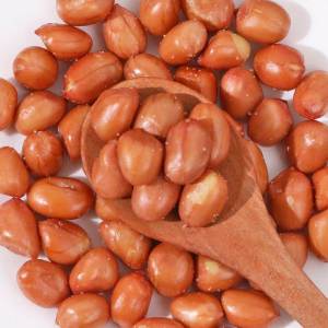 Ready-to-eat Snacks Fried Peanuts 500g