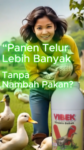 VIBEK ( VITAMIN BEBEK ) / VITAMIN TERNAK BEBEK PETELUR DAN PEDAGING AGAR CEPAT BESAR / BOOSTER TERNAK BEBEK / VITAMIN BEBEK AGAR CEPAT BESAR / VITAMIN BEBEK PETELUR / VITAMIN TERNAK BEBEK AGAR CEPAT BERTELUR / VITAMIN BUDIDAYA BEBEK TURBO / VITERNA NASA