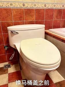 TOTO | Universal Standard Toilet Seat