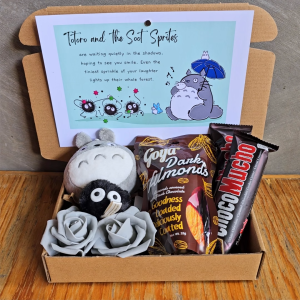 ✨ Cute Totoro Kawaii Dark Choco Coco Giftset Romantic Gifts for Men Him Boyfriend