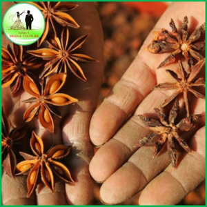 Star anise Available (500g/250g/100g)