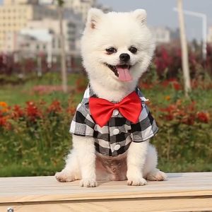 Có Size lớn 5XL Áo sơ mi đi biển in hình cây dừa/quả dứa dễ thương phong cách Hawaii thời trang mùa hè dành cho cún cưng Áo cho Chó Mèo