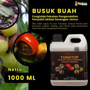 Obat Khusus Jamur Tanaman / Obat Jamur Daun Semangka / Obat Jamur Batang Karet / Obat Jamur Pada Daun Padi / Obat Jamur Daun Bawang / Obat Jamur Daun Durian / Obat Jamur Daun Anggur Keriting