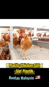 Chicken Slat/ Slat Plastik/ Plastic Chicken Slat/ Poultry Plastic Slatted Floor/ Chicken Flooring Plastic