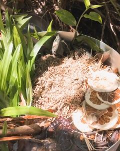 Tinh Chất Vệ Sinh Thảo Mộc Cô Bi Dung Dịch Vệ Sinh Phụ Nữ Thảo Mộc 100ml