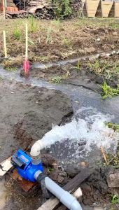 sanyo modifikasi jet 250 pipa 2 di untuk kolam ikan lele bioflok harga murah debit air besar garansi 1 tahun gratis tusen klep Pengiriman Aman Dan Gratis - Lazada