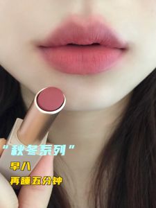 Matte Lipstick for Women Student Affordable Glowing Pink Grey Peach Color Lip Gloss That Makes Your Lips Look More Attractive