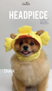 Headpiece Kostum Kucing dan Kostum Anjing POMAPOO - Premium Berkualitas
