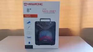 MEGASONIC MGS-2081 Portable Bluetooth Speaker: A Comprehensive Guide