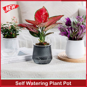 Self Watering Plant Pot Transparent Plastic Flower Pot Double-layer Automatic Lazy Potted Flower Pot Hydroponic Flowerpot