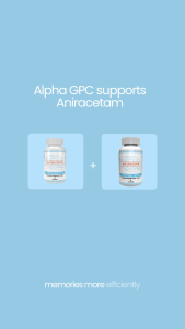 Noots PH Aniracetam Nootropic Brain Booster Memory Enhancer & Focus Supplement for Adults Students Brain Food Vitamins