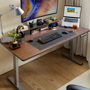 Loctek | Electric Height Adjustable Desk