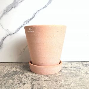 The Leaferie Yael terracotta plant pots with tray flowerpot . flowerpots . flower pot . planter . planters . Flowers