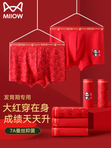 Cat Person Teenage Modal Childrens Underwear Boys Growing Period Flat Angle Four Corner Pants Comfortable mid Waist Briefs