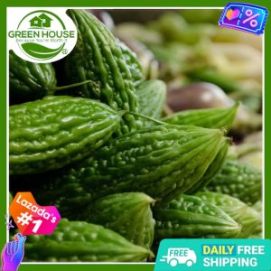 Green House® - Ampalaya Seeds for Planting Vegetable Plants (7 Seed) incl. Planting Instructions Hybrid Variety Plant