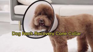 Corong Collar Pelindung Leher Anjing Kucing Kelinci Nomor 4
